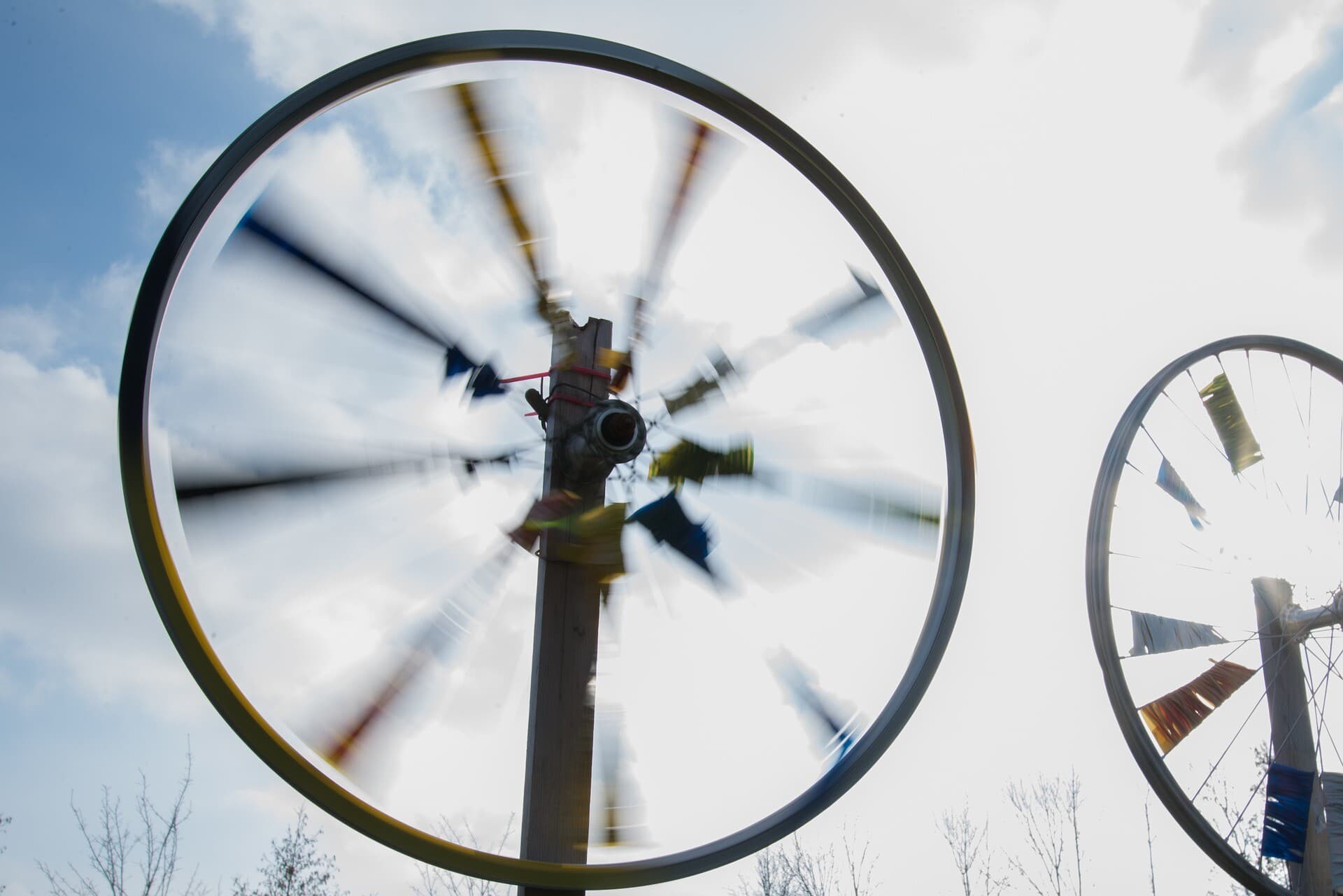 Check how does marketing automation work and what makes it so effective?